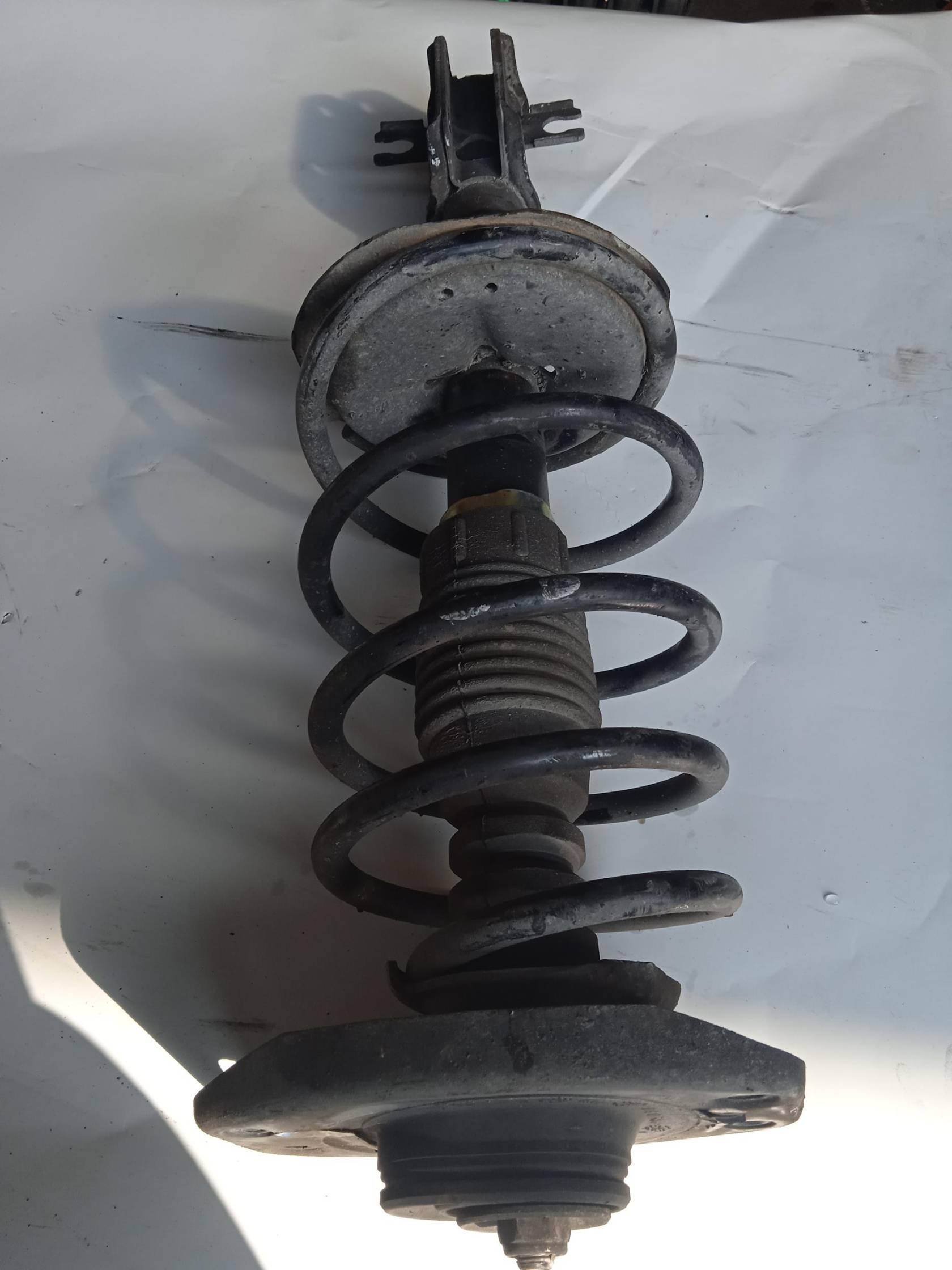 Ammortizzatore ant. sx.